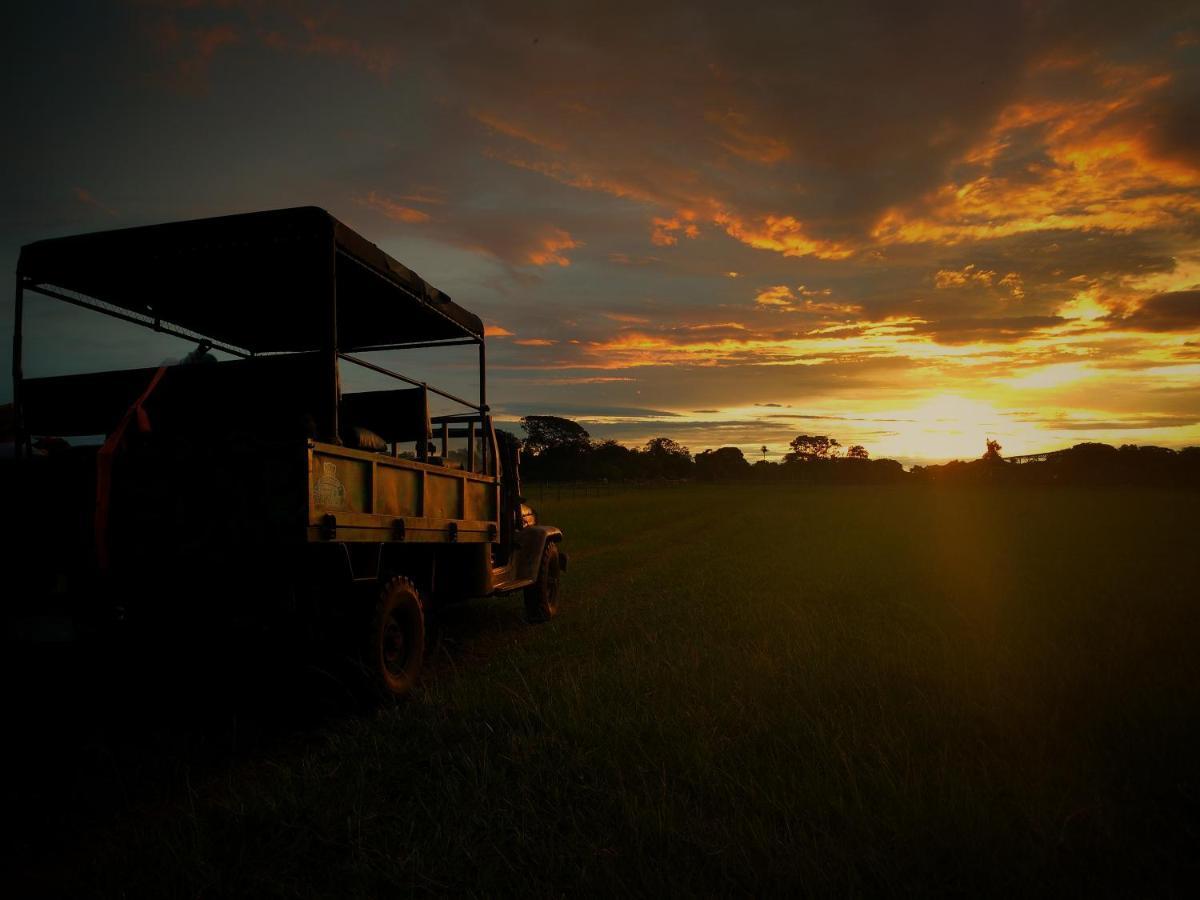 Pousada Fazenda Xaraes Todos os Santos Luaran gambar