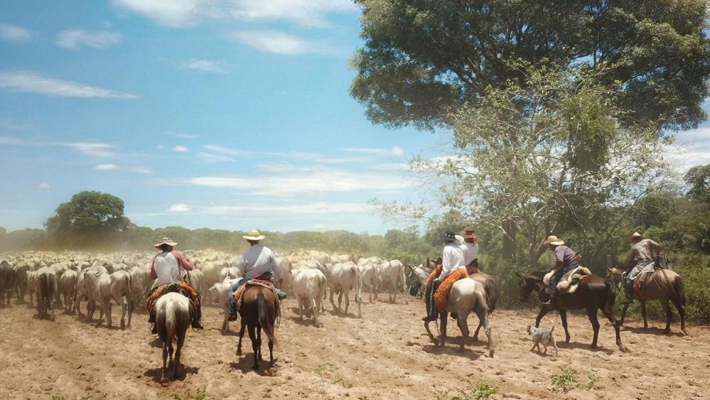 Pousada Fazenda Xaraes Todos os Santos Luaran gambar