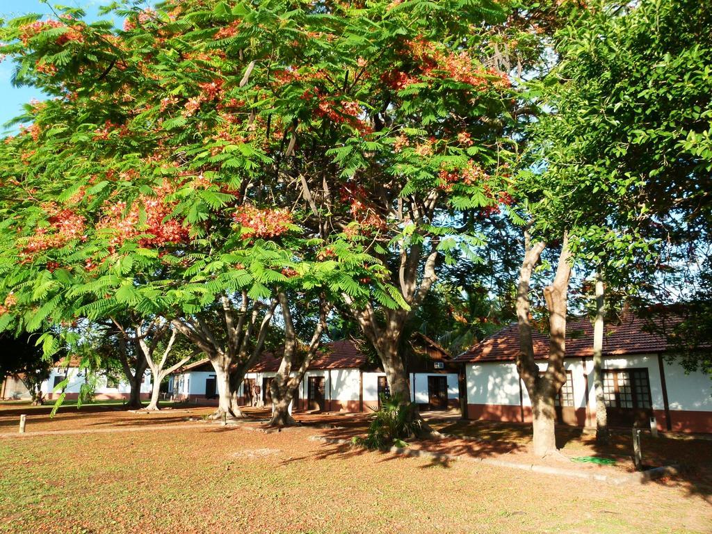 Pousada Fazenda Xaraes Todos os Santos Luaran gambar