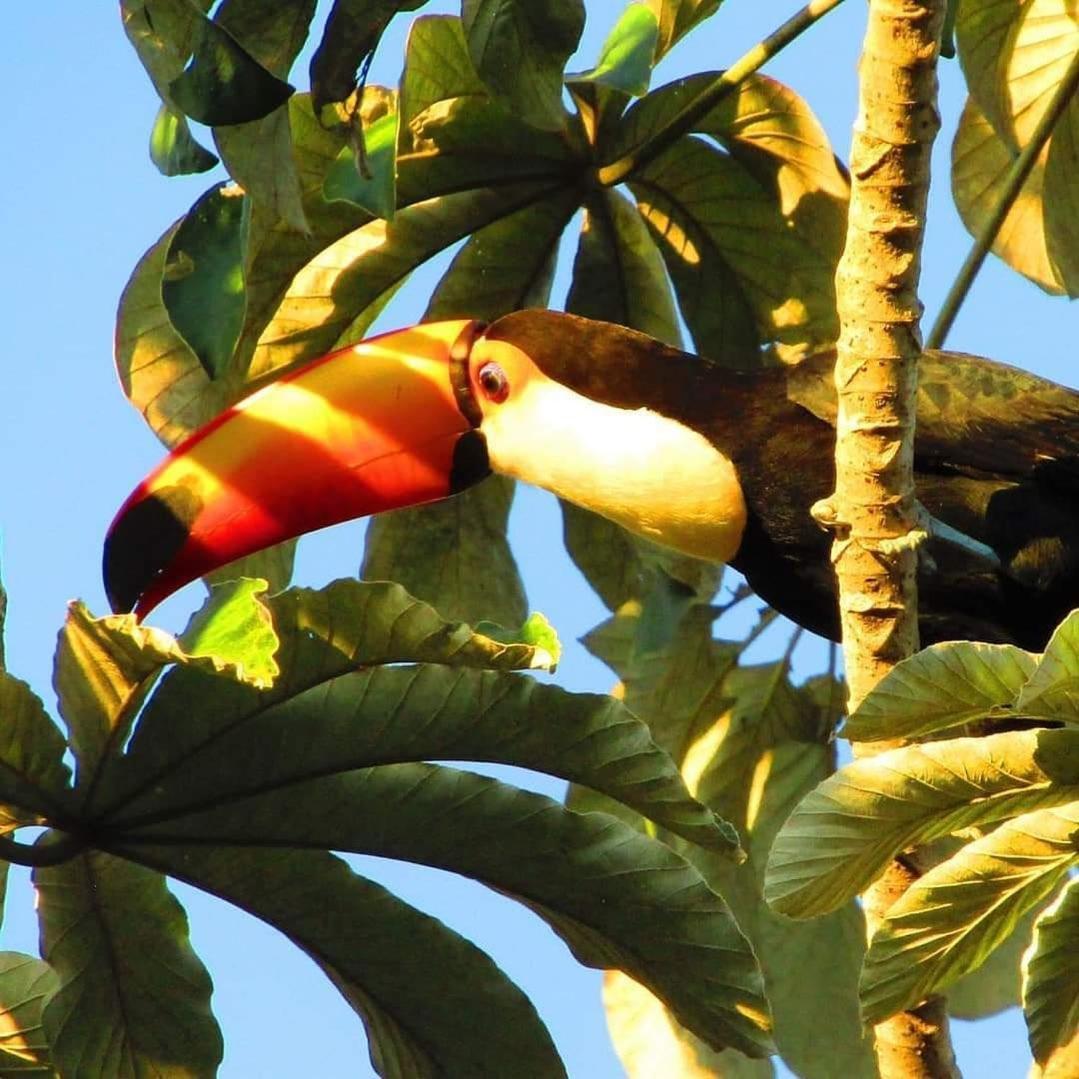 Pousada Fazenda Xaraes Todos os Santos Luaran gambar