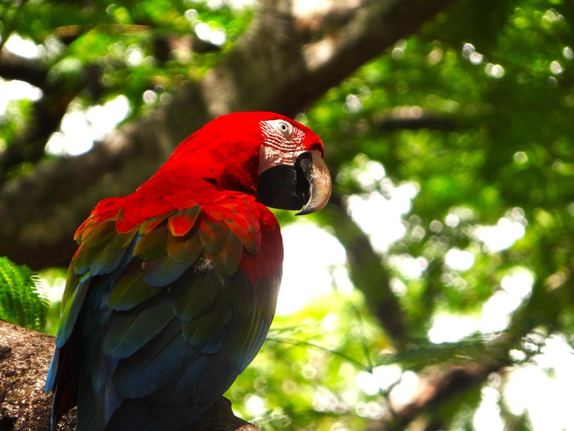 Pousada Fazenda Xaraes Todos os Santos Luaran gambar