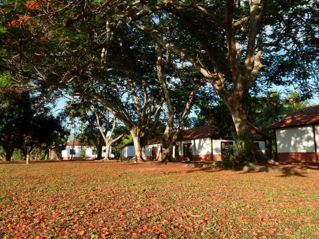 Pousada Fazenda Xaraes Todos os Santos Luaran gambar